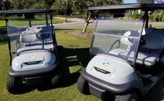 Family Golf Carts