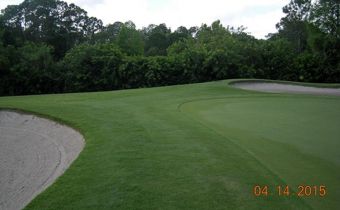 To Overseed, or Not To Overseed, That is the Question! (Part 2 of 2)